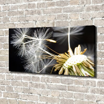 Cuadro canvas con impresión uv duradera horizontal semillas de diente de león