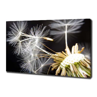 Cuadro canvas con impresión uv duradera horizontal semillas de diente de león