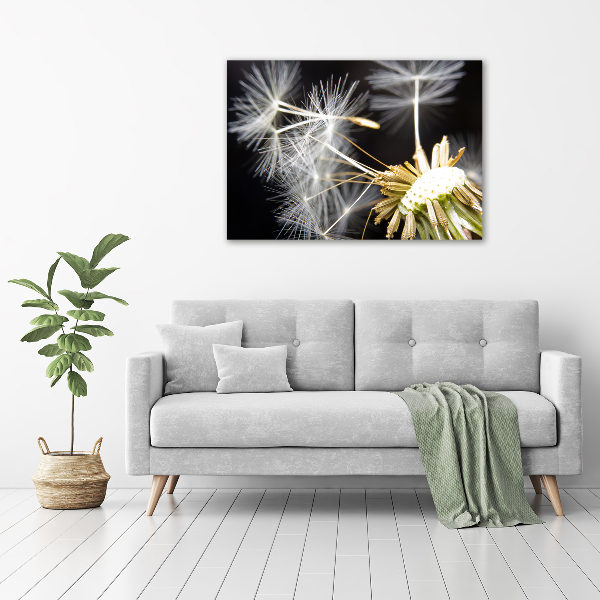 Cuadro canvas con impresión uv duradera horizontal semillas de diente de león