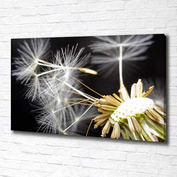 Cuadro canvas con impresión uv duradera horizontal semillas de diente de león