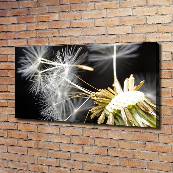 Cuadro canvas con impresión uv duradera horizontal semillas de diente de león