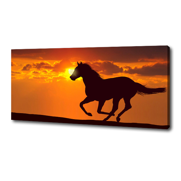 Fotocuadro en lienzo de alta calidad horizontal Atardecer de caballos