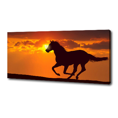 Fotocuadro en lienzo de alta calidad horizontal Atardecer de caballos