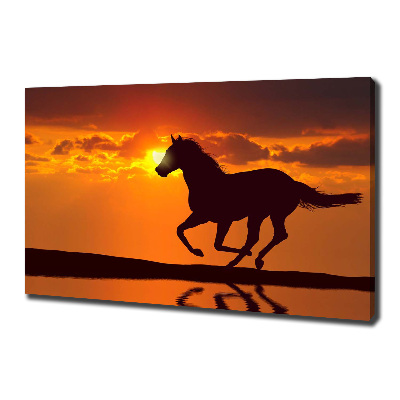 Fotocuadro en lienzo de alta calidad horizontal Atardecer de caballos