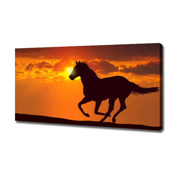 Fotocuadro en lienzo de alta calidad horizontal Atardecer de caballos