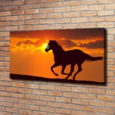 Fotocuadro en lienzo de alta calidad horizontal Atardecer de caballos