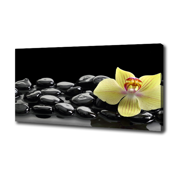Cuadro canvas moderno de gran formato horizontal Orquídea