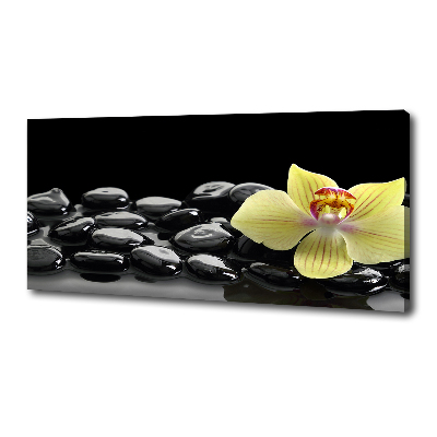 Cuadro canvas moderno de gran formato horizontal Orquídea
