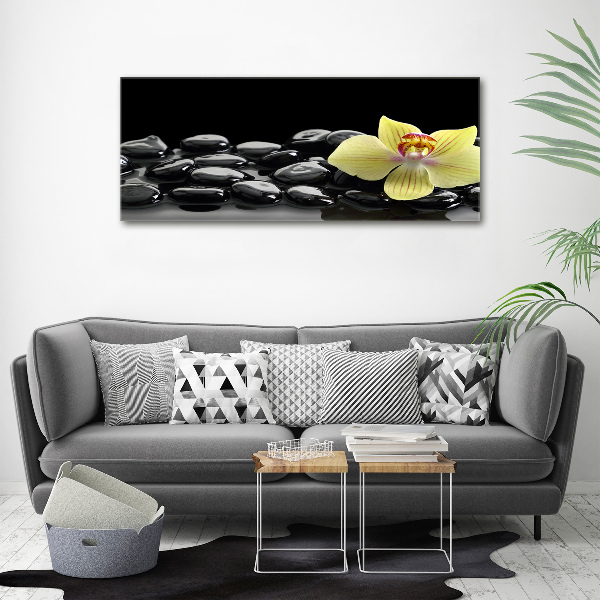 Cuadro canvas moderno de gran formato horizontal Orquídea