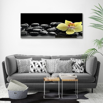 Cuadro canvas moderno de gran formato horizontal Orquídea