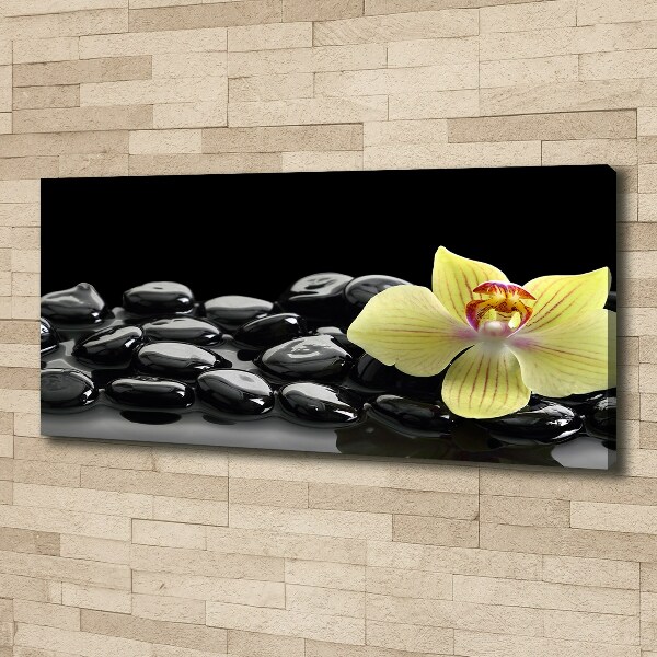 Cuadro canvas moderno de gran formato horizontal Orquídea