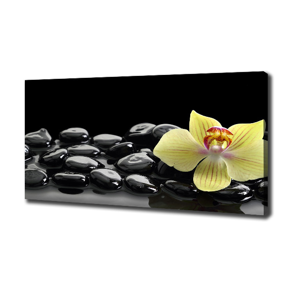 Cuadro canvas moderno de gran formato horizontal Orquídea