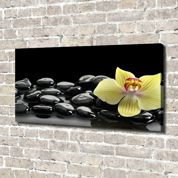 Cuadro canvas moderno de gran formato horizontal Orquídea