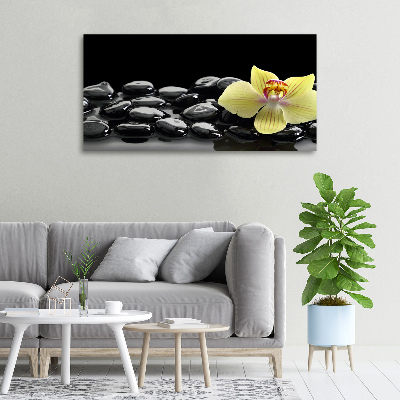 Cuadro canvas moderno de gran formato horizontal Orquídea