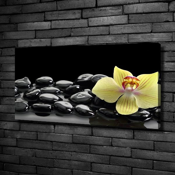 Cuadro canvas moderno de gran formato horizontal Orquídea