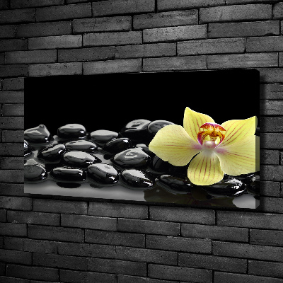 Cuadro canvas moderno de gran formato horizontal Orquídea