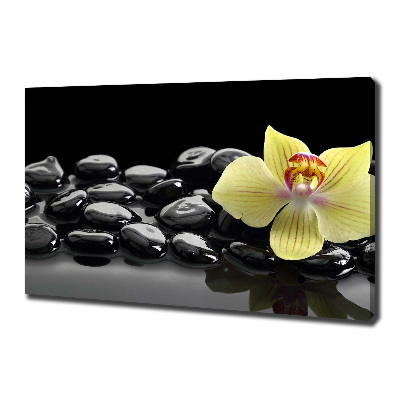 Cuadro canvas moderno de gran formato horizontal Orquídea