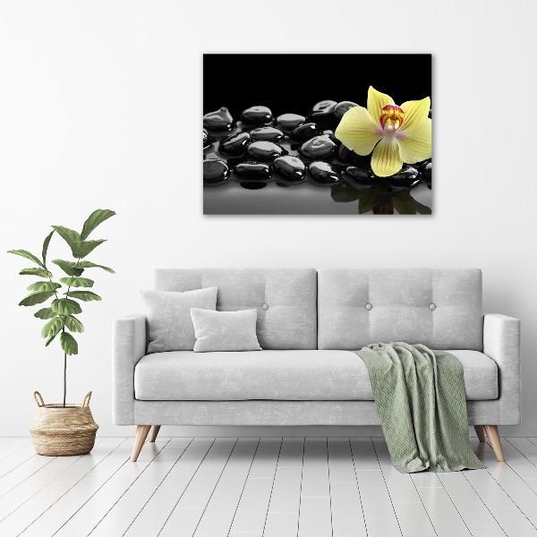 Cuadro canvas moderno de gran formato horizontal Orquídea