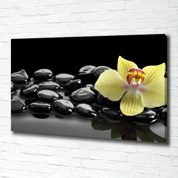 Cuadro canvas moderno de gran formato horizontal Orquídea