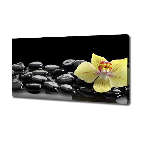Cuadro canvas moderno de gran formato horizontal Orquídea