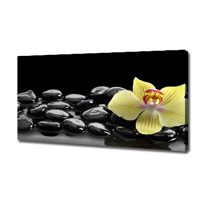 Cuadro canvas moderno de gran formato horizontal Orquídea
