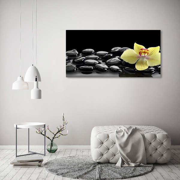 Cuadro canvas moderno de gran formato horizontal Orquídea