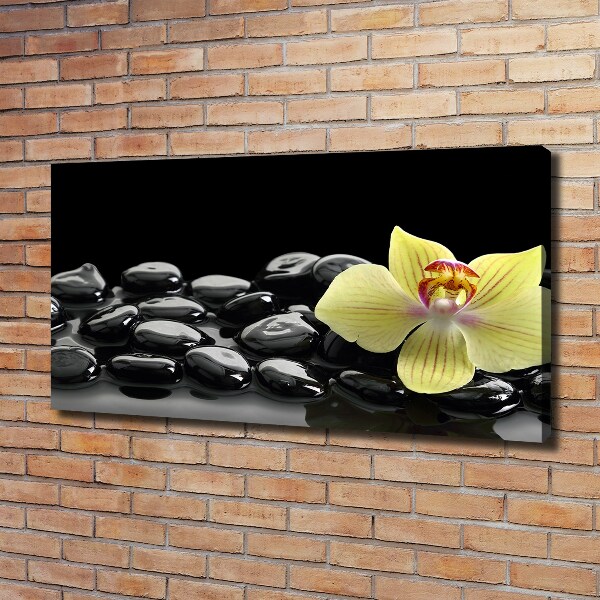 Cuadro canvas moderno de gran formato horizontal Orquídea
