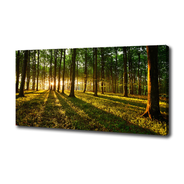 Cuadro canvas con impresión uv duradera horizontal Rayos de sol