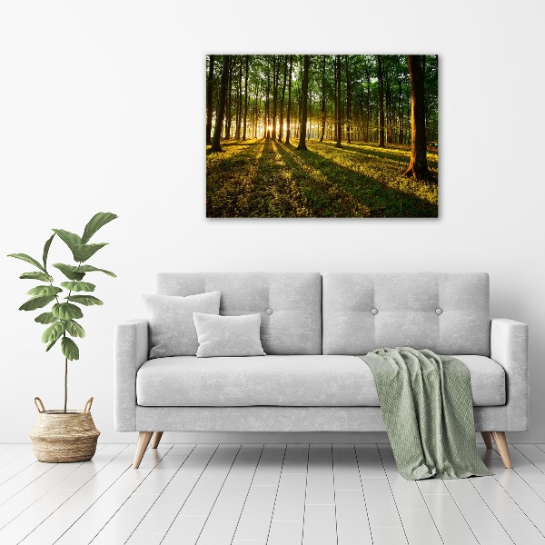 Cuadro canvas con impresión uv duradera horizontal Rayos de sol