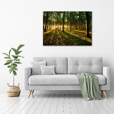 Cuadro canvas con impresión uv duradera horizontal Rayos de sol