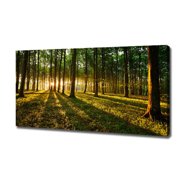 Cuadro canvas con impresión uv duradera horizontal Rayos de sol