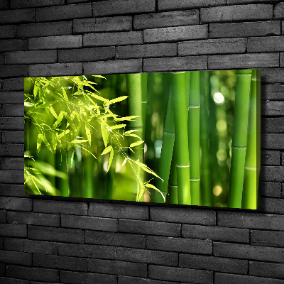 Duży foto obraz na ścianę canvas Bambus