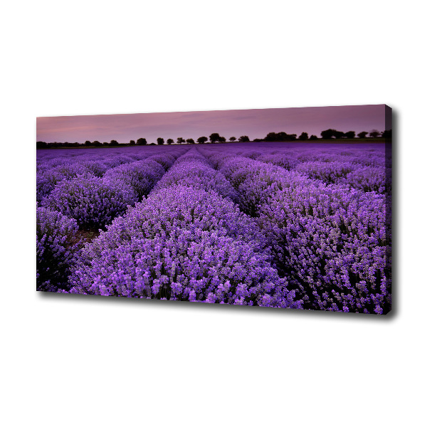 Cuadro canvas con impresión uv duradera horizontal campo de lavanda