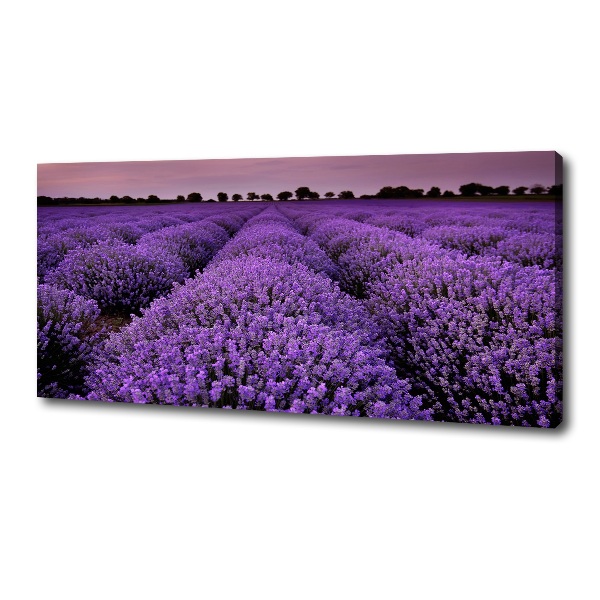 Cuadro canvas con impresión uv duradera horizontal campo de lavanda