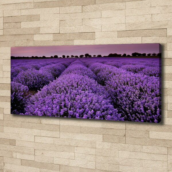 Cuadro canvas con impresión uv duradera horizontal campo de lavanda