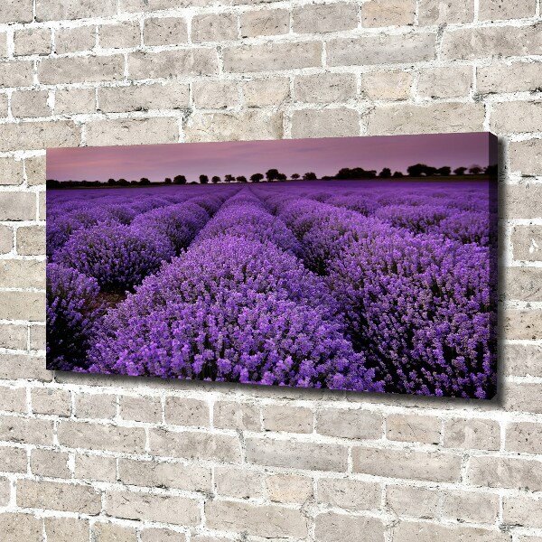 Cuadro canvas con impresión uv duradera horizontal campo de lavanda