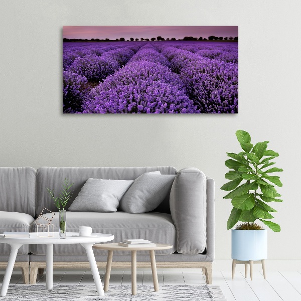 Cuadro canvas con impresión uv duradera horizontal campo de lavanda
