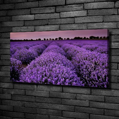 Cuadro canvas con impresión uv duradera horizontal campo de lavanda
