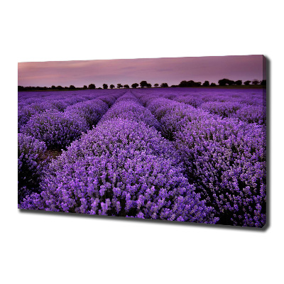Cuadro canvas con impresión uv duradera horizontal campo de lavanda