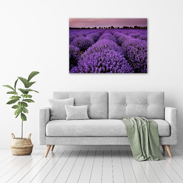 Cuadro canvas con impresión uv duradera horizontal campo de lavanda
