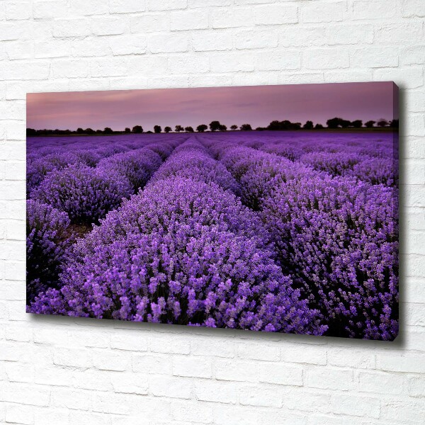 Cuadro canvas con impresión uv duradera horizontal campo de lavanda