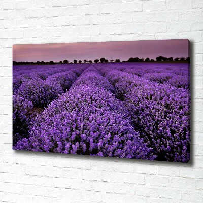 Cuadro canvas con impresión uv duradera horizontal campo de lavanda