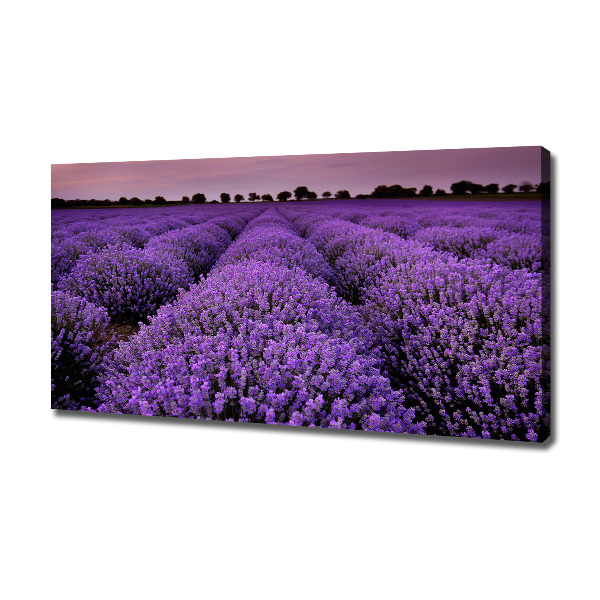 Cuadro canvas con impresión uv duradera horizontal campo de lavanda