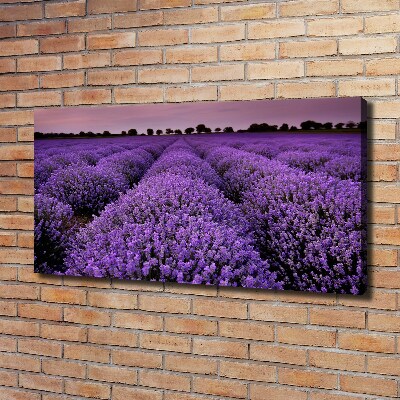 Cuadro canvas con impresión uv duradera horizontal campo de lavanda