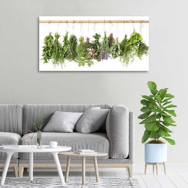 Cuadro canvas con impresión uv duradera horizontal Hierbas en una cuerda