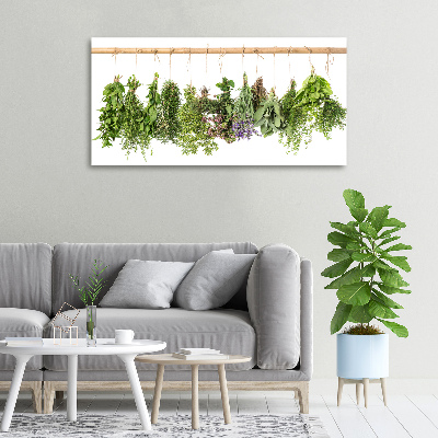 Cuadro canvas con impresión uv duradera horizontal Hierbas en una cuerda