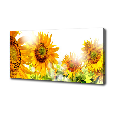 Cuadro canvas moderno de gran formato horizontal Girasoles