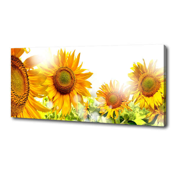 Cuadro canvas moderno de gran formato horizontal Girasoles