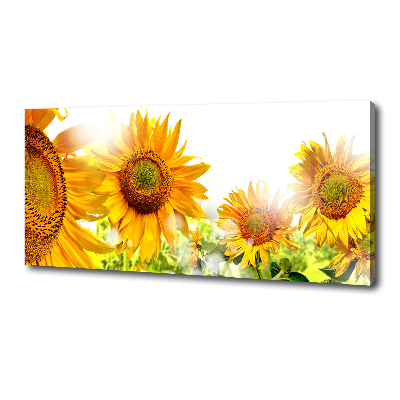 Cuadro canvas moderno de gran formato horizontal Girasoles