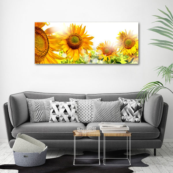 Cuadro canvas moderno de gran formato horizontal Girasoles